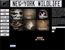 Tablet Screenshot of newyorkwildlife.org